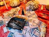le portefeuille magique